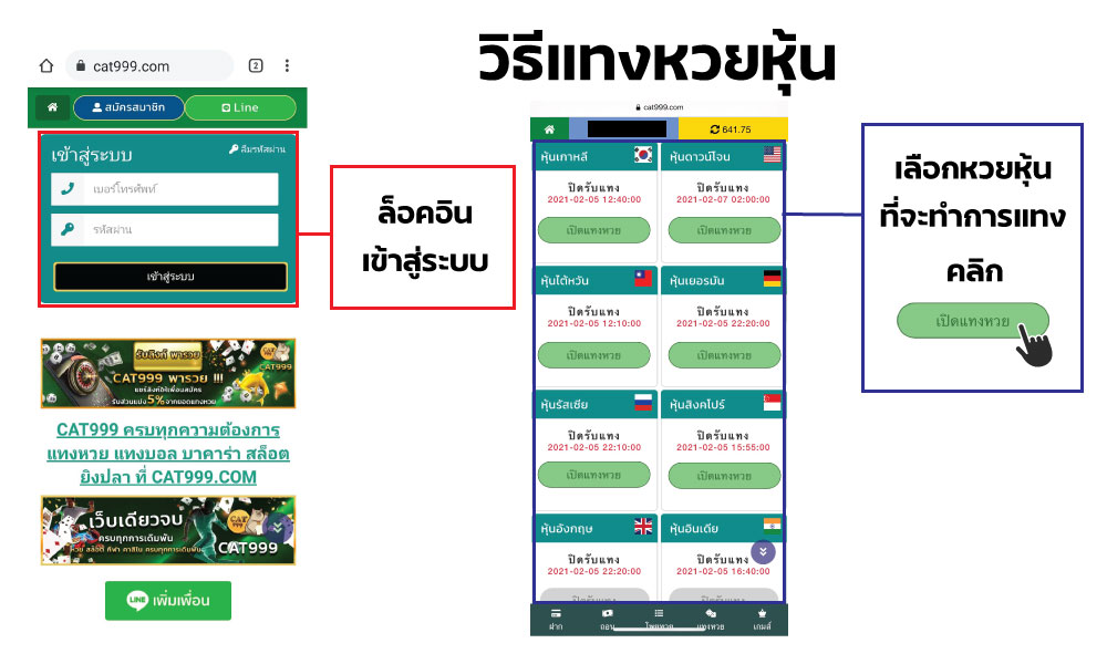แทงหวย999